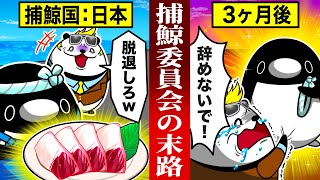 【自業自得】あの手この手で日本を脱退させた国際捕鯨委員会の末路【アニメ】