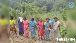 പുതിയ കാർഷിക പദ്ധതിയ്ക്ക് തുടക്കമായി - അട്ടപ്പാടി