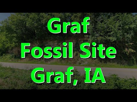 Graf Fossil Site Graf, IA (Upper Ordovician Formation)