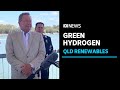 New $1 billion-plus project in Qld to double world's green hydrogen production capacity | ABC News