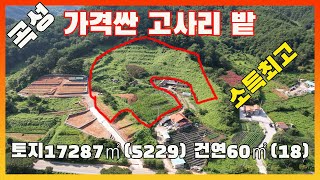 [물건번호2664]전라남도 곡성군 죽곡면 가격싼 고사리밭  급매 합니다,  소득 좋은 고사리 밭 입니다,  한쪽편에 버섯재배 염소농장 하면 좋겠네요