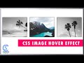 Css Image Hover Effect - How To Create Image Hover Overlay Effects | HTML CSS | Computer Science