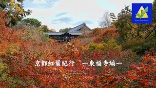 時空の栞　－4K 京都紅葉紀行 東福寺－