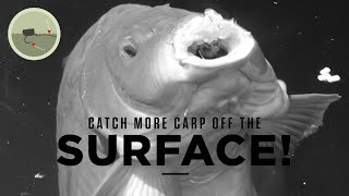 How to catch carp off the surface | Tips, Tactics and Tackle Reviews