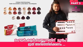 Streax Professional Best Hair Colouring Class Basic Techniques Workshop | Product Guide | Part 3