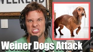 Theo Von: Weiner Dogs Attack