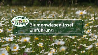 Blumenwiesen Insel - Einführung