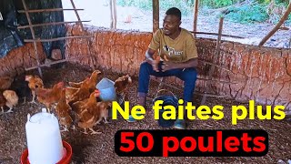 💢URGENT: Arrêtez de faire 50 têtes de Poulets de 3 Mois, Voici pourquoi