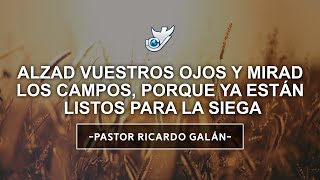 Alzad vuestros ojos y mirad los campos, porque ya están listos para la siega | Pastor Ricardo Galán