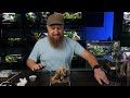 white widow desert velvet spider and more from ty dye exotics review