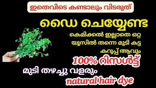 ഇതൊന്നു മതി എത്ര നരച്ച മുടിയുംഒറ്റ ദിവസം കൊണ്ട്കട്ട കറുപ്പ് ആവും|natural hair dye|hair dye#haircare