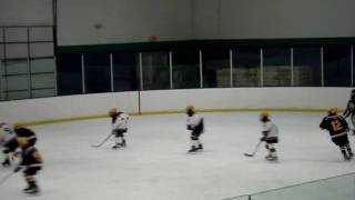 Hockey Game 2009 Squirt Yellow vs Royal Part 1.wmv