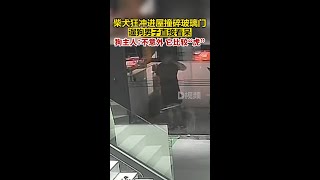 柴犬狂冲进屋撞碎玻璃门高女士店内养的3只柴犬遛弯回来时，其中1只瞬间冲向玻璃门，将门撞得粉碎，遛狗的店员当场看呆