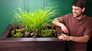 DIY Hydroponic Pond for Mosquitofish