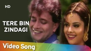 Tere Bin Zindagi (HD) | Heeralal Pannalal (1999) | Mithun Chakraborty | Bollywood Romantic Song