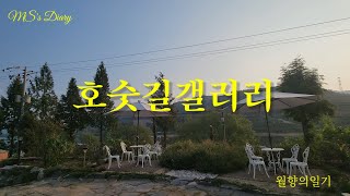 호숫길갤러리카페/ 안성카페/ 혼자카페/