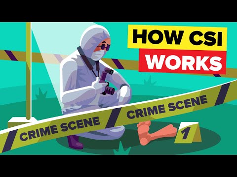 How do detectives solve crimes?