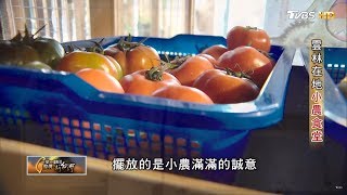 回家鄉創業 雲林在地小農食堂 一步一腳印 20180304