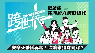 【直播／恢復流浪動物安樂死？跨世代論壇邀你一起討論】