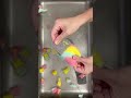 🌈🌈🌈🌈new sponges rinse and ripping.just clear water. asmr satisfying asmrwatersounds sponge