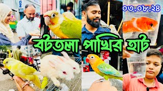 টেম বাজরিগর_লাভবার্ড_ককাটেল ও মাছ বটতলা পাখির হাটে | Mirpur 13 Pakhir Hat | Bottola Pakhir Hat