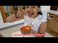 red faisan green sapote grown in kerala veliyath gardens 9544280007 9895950525