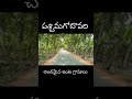 vedangi u0026 vedangipalem queen beautiful villeges in west godavari youtubeshots