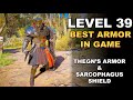 Assassin's Creed Valhalla Thegn's Armor Set and Sarcophagus Shield at level 39