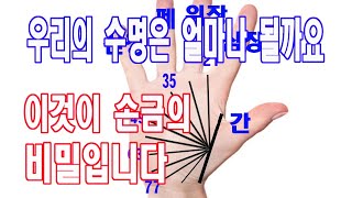 손금으로 보는 건강, 성격, 수명, 생명선을 알면 언제 내게 병이 오는지 알수 있다. 미리 미리 대비하고 준비하여 고통을 최소화하도록 하자....