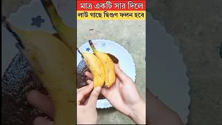 মাত্র 1 টি সার 🫣 10 গুণ লাউ #facts #shorts