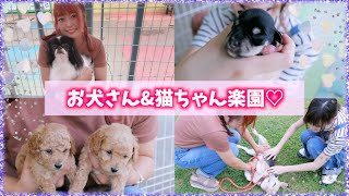 【超癒し】生後3日の子犬が可愛すぎる動画♡ワンちゃん\u0026猫ちゃん天国!!!!!