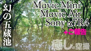 Mavic Mini / Mavic Air 2  / α7R4「長崎県佐世保市 幻の五蔵池」