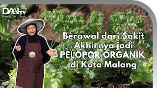 Inspirasi Kebun Organik di Malang, Jawa Timur