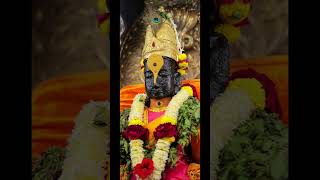 #vitthal #vithoba #pandurang #pandharpur #rakhumai #subscribe #trending #viral