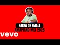 KABZA DE SMALL | DayVibes Mix | Amapiano Mix 2025 | Flying Fish