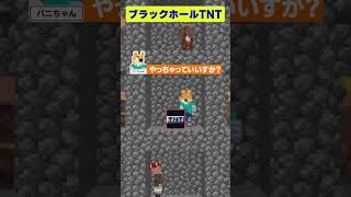 【マイクラ】ブラックホールを生み出すTNT爆弾