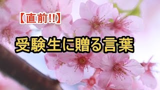 【受験直前】　受験生に贈る言葉