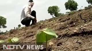 Drought-hit Marathwada: Monsoon delayed, farmers frantic