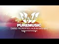 puremusic divine properties official album video