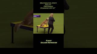 Karat GoldenWKC2024