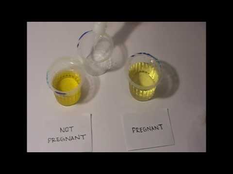 How to Test Pregnancy at Home Naturally How to Test Pregnancy at Home Naturally