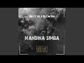 Handina simba