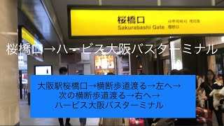 🟢大阪駅桜橋口から、ハービス大阪バスターミナル動画