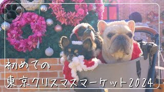 日本最大級のクリスマスマーケットに愛犬たちと行ってきました🐶🐶🐶