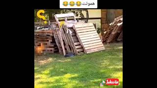 هتمووت من الضحك 😂😂|خدلك ضحكة #shorts #Funny