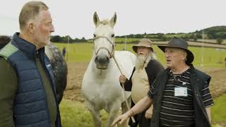 Ploughing 2022: Mossy Trent reflects on 30 years of experience in horse ploughing