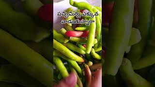 పచ్చిమిర్చి ఎక్కువ తీసుకోవడం వల్ల నష్టమా ? # trending vlogs #shorts  good videos #viral