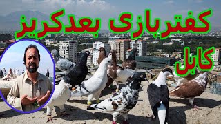 Khalifa Ahmad'pigeons farm in Kabul! کفتربازی خلیفه احمد در شهر کابل