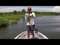 how to pitch a fishing lure pitching technique explained for beginners and casting tips