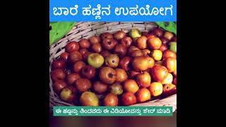 ಬಾರೆ ಹಣ್ಣಿನ ಉಪಯೋಗ Indian jujube fruit Benefits #healthtipsinkannada #kannadahealthtips #kannadareels